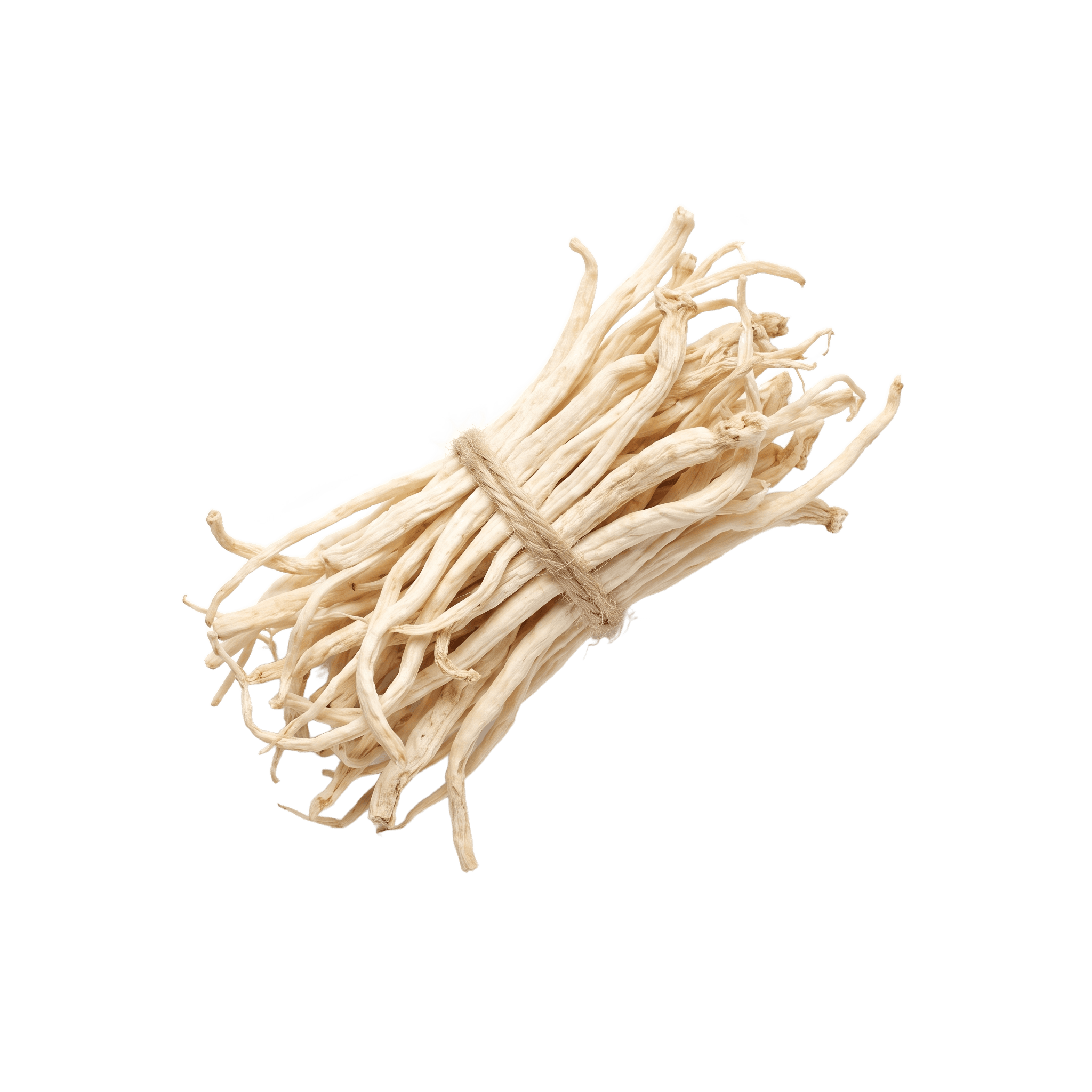 A bundle of dried Safed Musali tuberous roots
